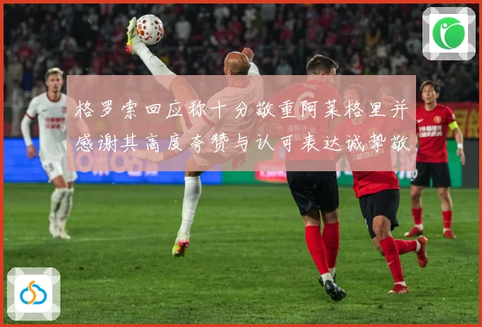 格罗索回应称十分敬重阿莱格里并感谢其高度夸赞与认可表达诚挚敬成长观察-深度解析